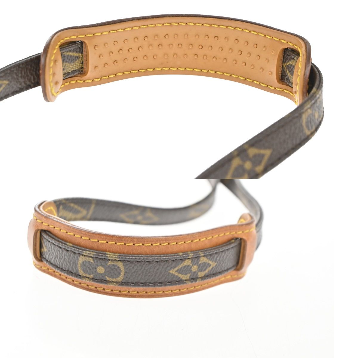 Louis Vuitton Mini Amazon Shoulder Bag Monogram Leather — view 8