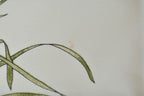 Celine Scarf Vintage Carriage Wheel Silk Silver Pink — view 5
