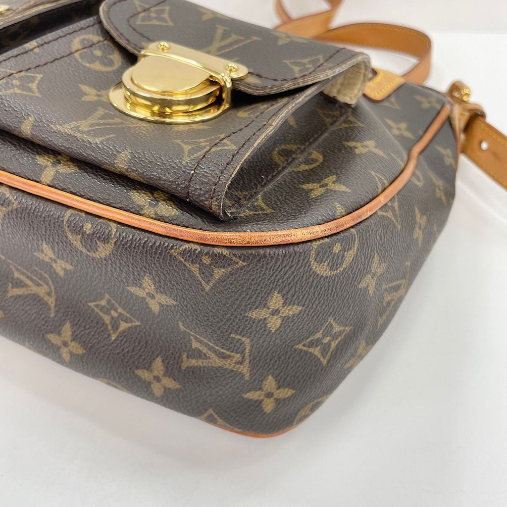 Louis Vuitton Shoulder Bag Hudson GM — view 8
