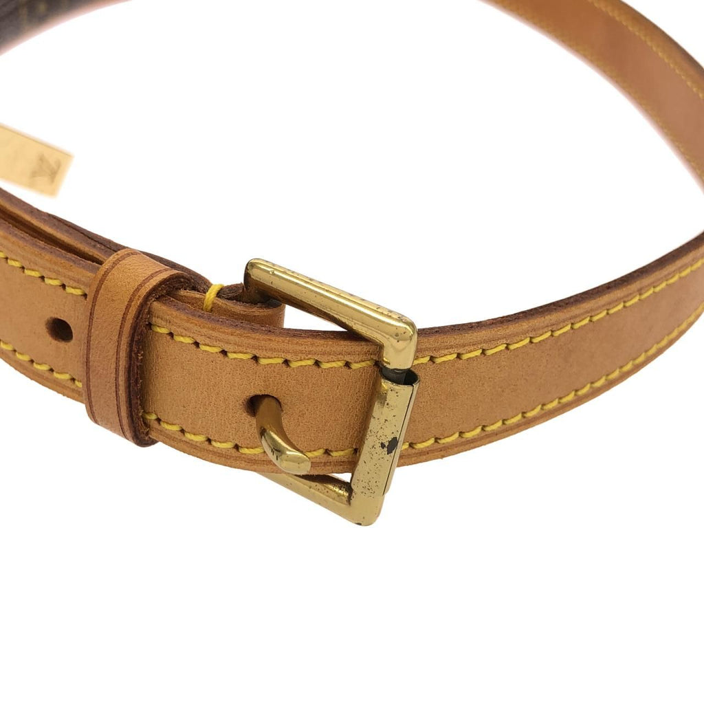 Louis Vuitton Monogram Pochette Croissant Shoulder — view 8