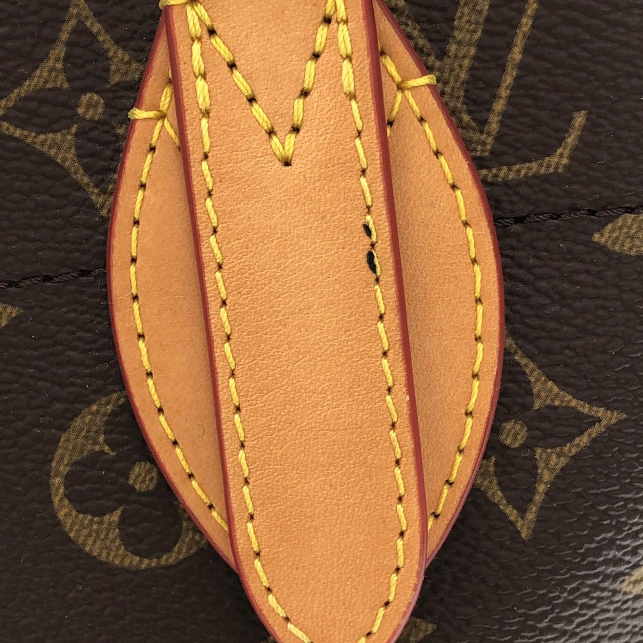 Louis Vuitton Monogram Carrier MM — view 5