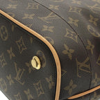 Louis Vuitton Monogram Carrier MM — view 3