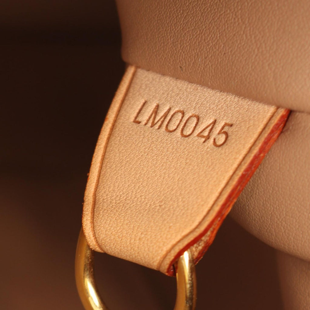 Louis Vuitton Handbag Houston Noisette Leather — view 5