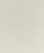 Prada Handbag Ivory — view 7