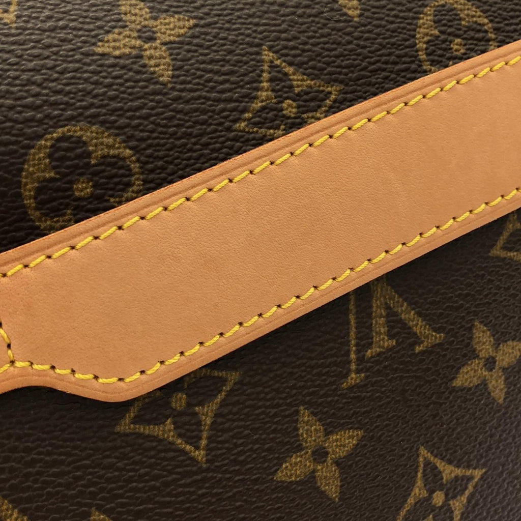 Louis Vuitton Monogram Aves Shoulder — view 5