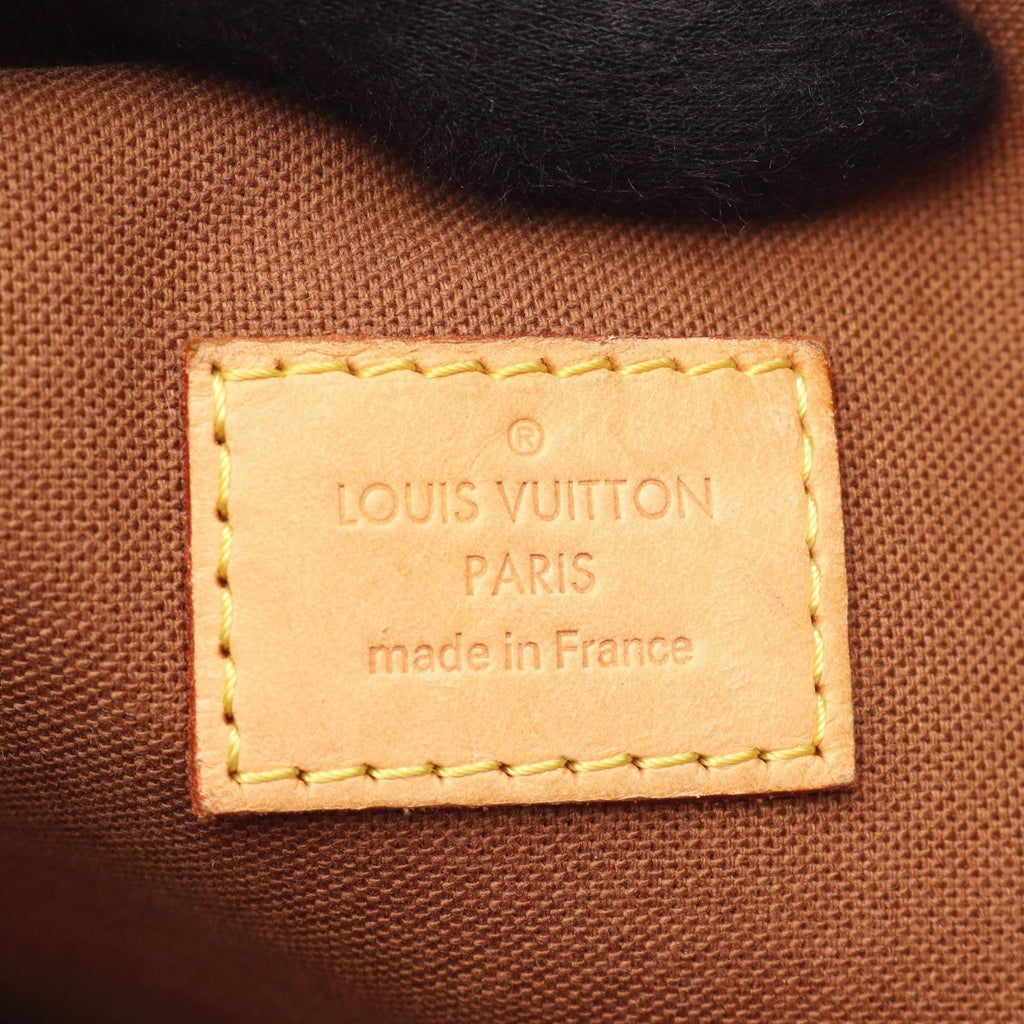 Louis Vuitton Tote Boble Monogram Canvas Leather Cover — view 4