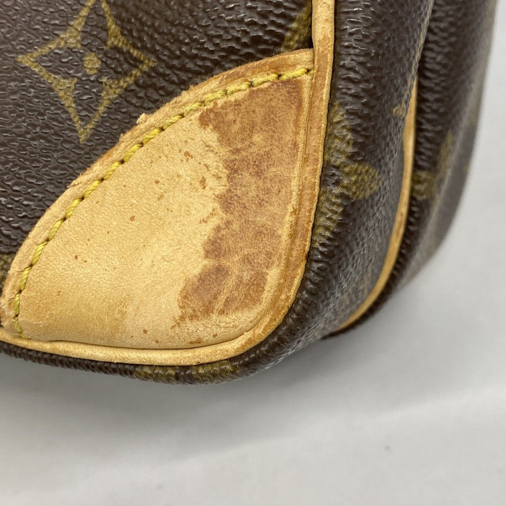 Louis Vuitton Shoulder Bag Monogram Amazon Brown — view 8