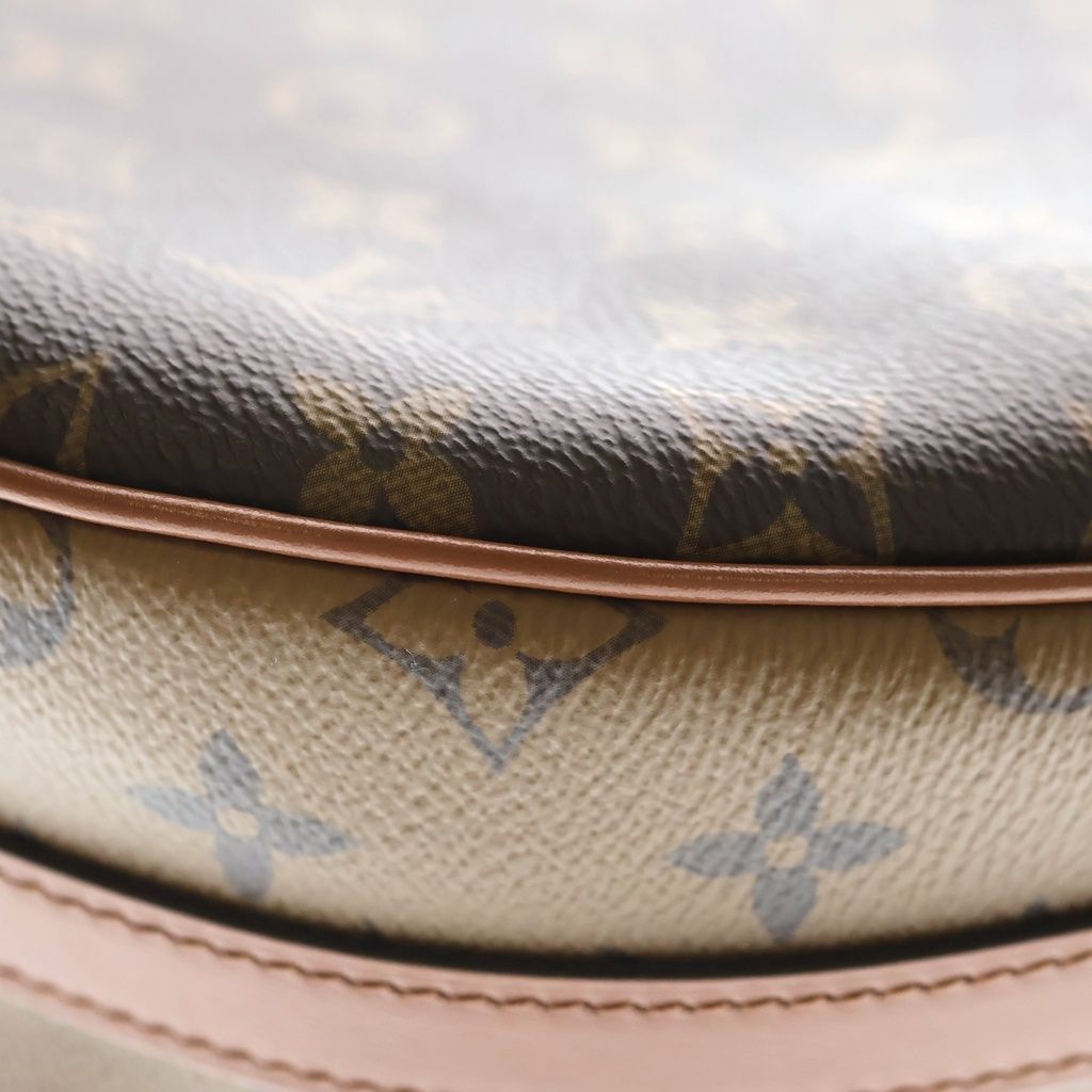 Louis Vuitton Monogram Reverse Leather 2-Way Chain Shoulder Bag Brown — view 5