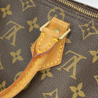 Louis Vuitton Handbag Monogram Speedy 25 Brown — view 8