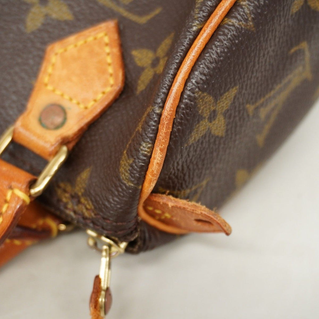 Louis Vuitton Handbag Monogram Mini Speedy Brown — view 8