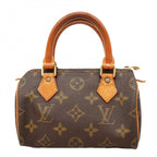 Louis Vuitton Handbag Monogram Mini Speedy Brown