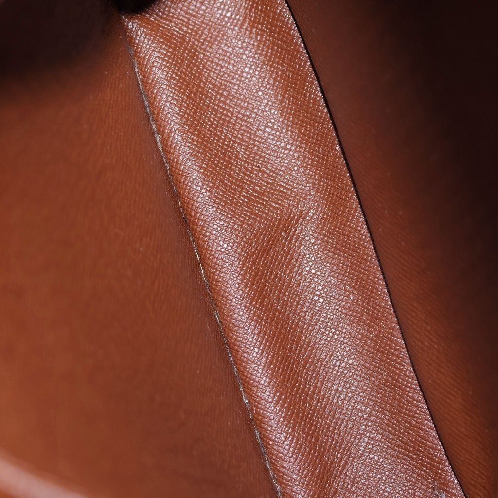 Louis Vuitton Monogram Amazon Mini Shoulder Bag Brown Leather Gold — view 5