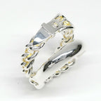 Hermes Ring Book le Cellier Inflexible 60 Silver — view 7
