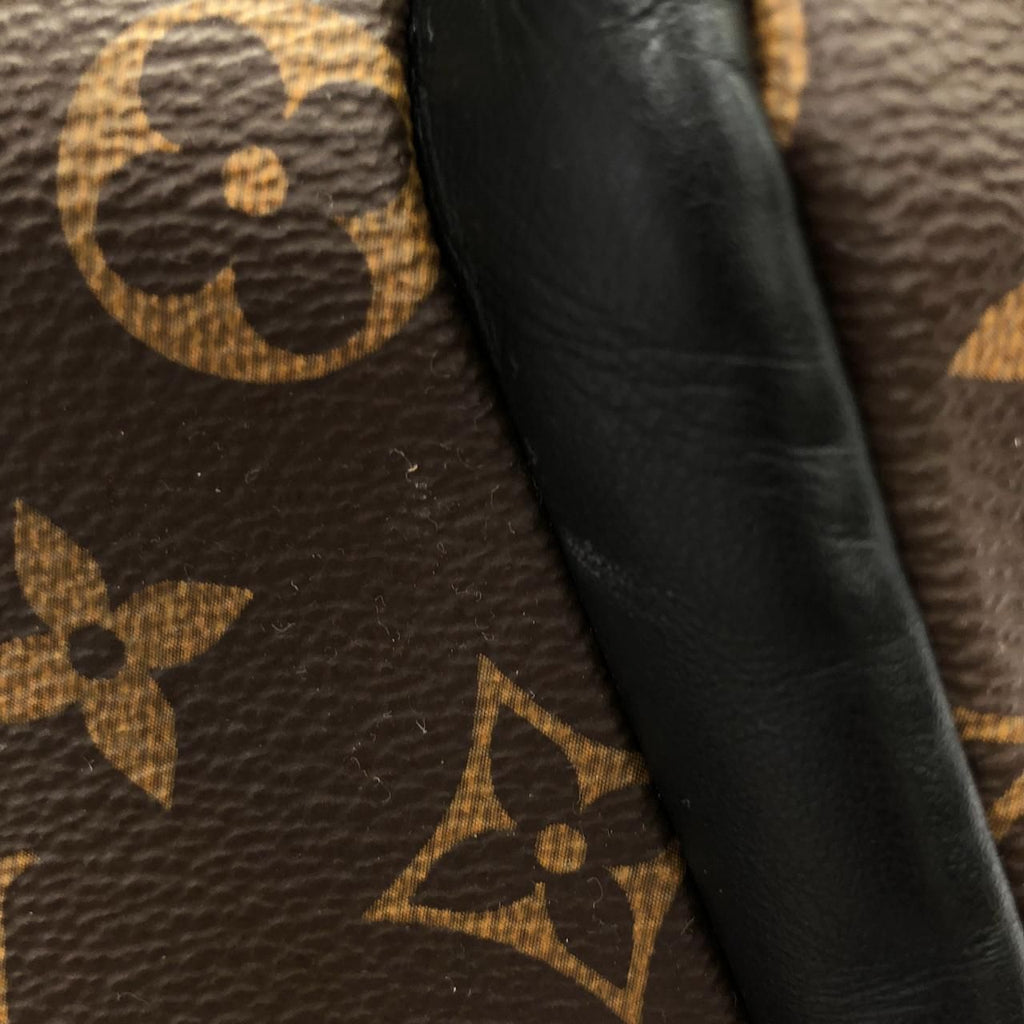 Louis Vuitton Monogram Macassar Josh Backpack — view 5