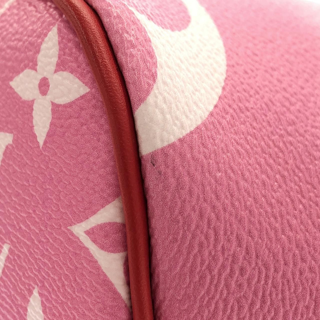 Louis Vuitton LV Escal Neverfull MM — view 5