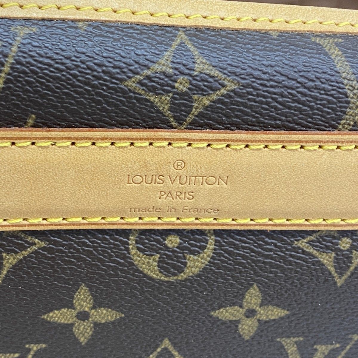 Louis Vuitton Pet Carrier Monogram Sac Brown — view 5