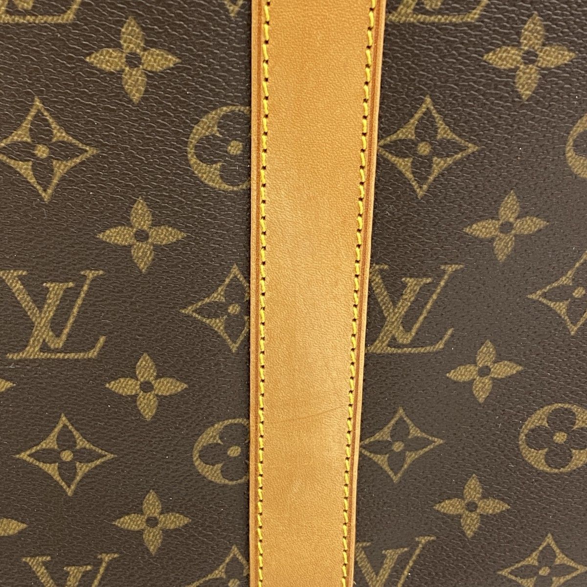 Louis Vuitton Pet Carrier Monogram Sac Brown — view 8