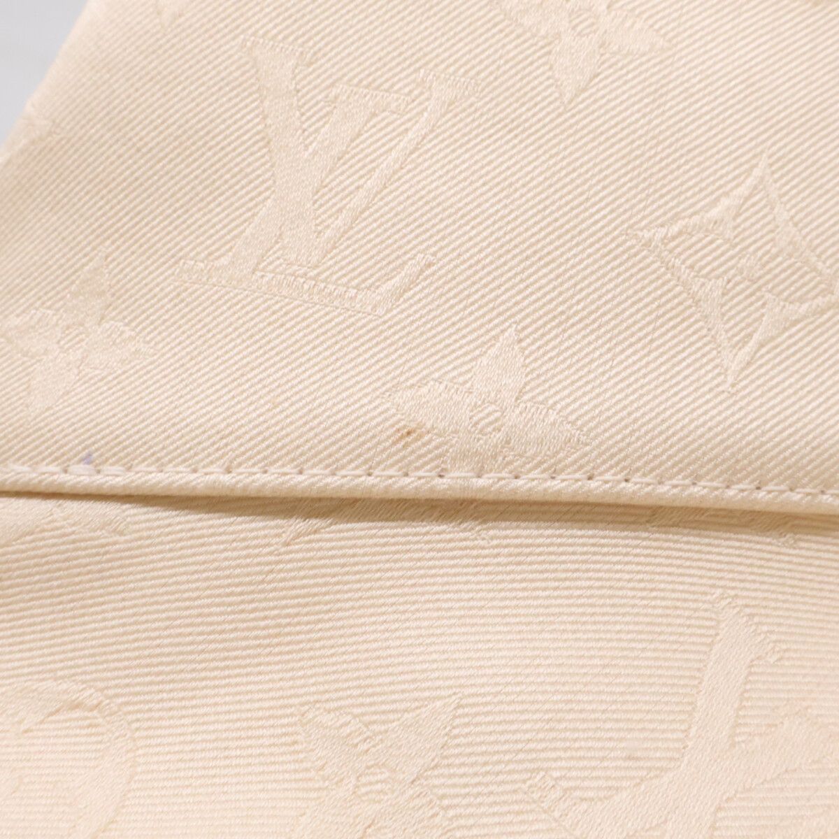 Louis Vuitton LV Fast Monogram Reversible Bucket — view 9