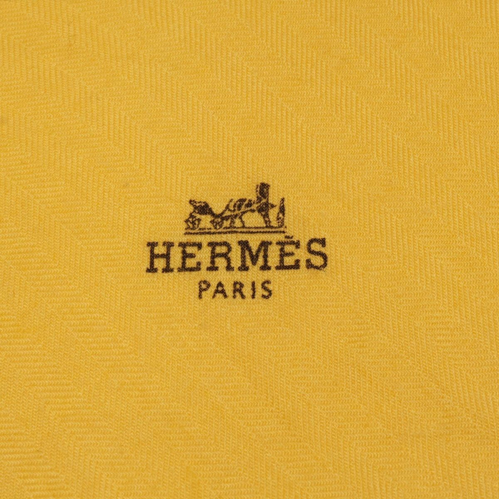 Hermes Cashmere Silk Rosange with Logo Scarf — view 6