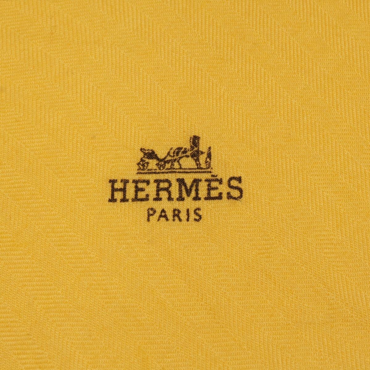 Hermes Cashmere Silk Rosange with Logo Scarf — view 6