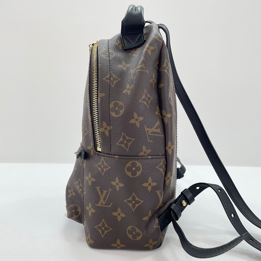Louis Vuitton Backpack Palm Springs PM — view 5