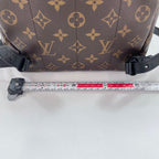 Louis Vuitton Backpack Palm Springs PM — view 4