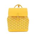 Goyard Alpine Mini Backpack