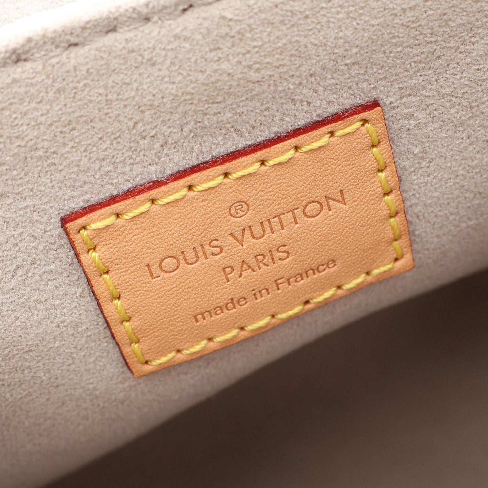 Louis Vuitton Backpack Tiny by the Pool Brume Canvas Leather — view 4