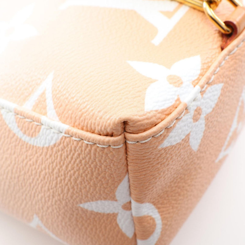 Louis Vuitton Backpack Tiny by the Pool Brume Canvas Leather — view 5