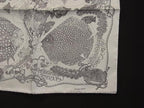 Hermes Petit Carre Gavroche Silk 100% Fish Pattern Scarf White Black — view 3