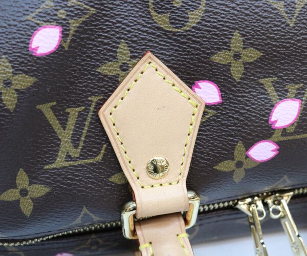 Louis Vuitton TM Takashi Murakami Monogram Cherry Blossom Speedy Bandouliere 25 — view 8