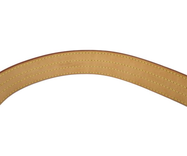 Louis Vuitton Monogram Multicolor Noir Lodge PM Shoulder — view 6