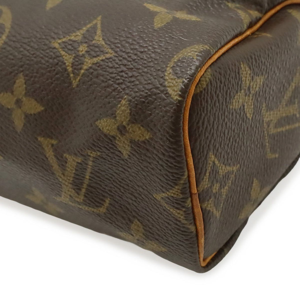 Louis Vuitton Monogram Mini Speedy Mini Bag Pouch Case — view 3