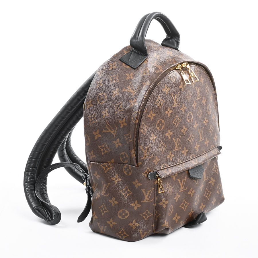 Louis Vuitton Backpack Palm Springs MM — view 2