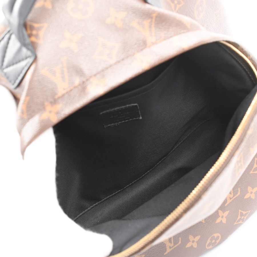 Louis Vuitton Backpack Palm Springs MM — view 4