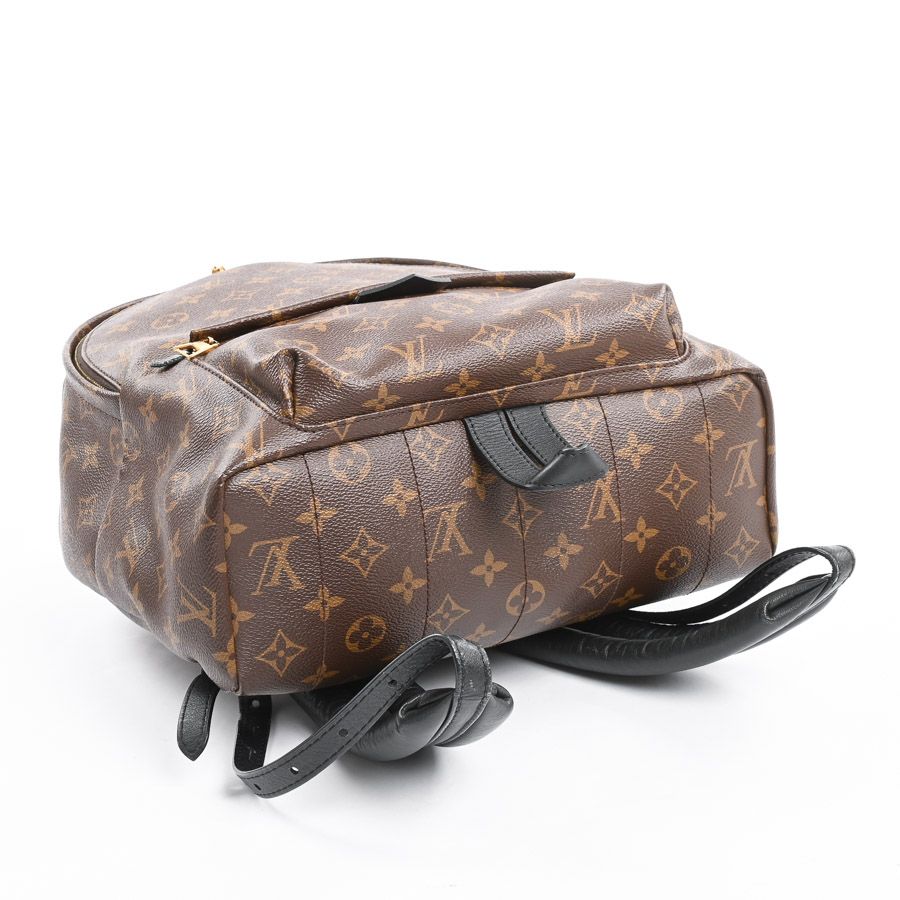 Louis Vuitton Backpack Palm Springs MM — view 5