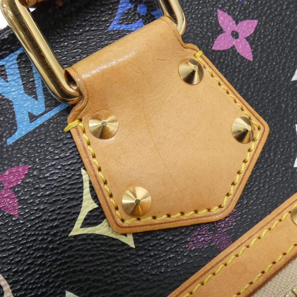 Louis Vuitton Multicolor Alma PM — view 5