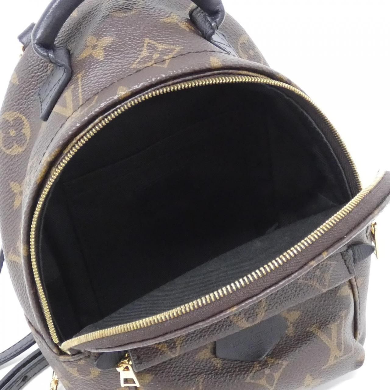 Louis Vuitton Monogram Palm Springs Backpack Mini — view 8