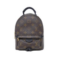 Louis Vuitton Monogram Palm Springs Backpack Mini