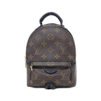 Louis Vuitton Monogram Palm Springs Backpack Mini