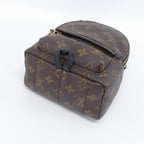 Louis Vuitton Monogram Palm Springs Backpack Mini — view 3