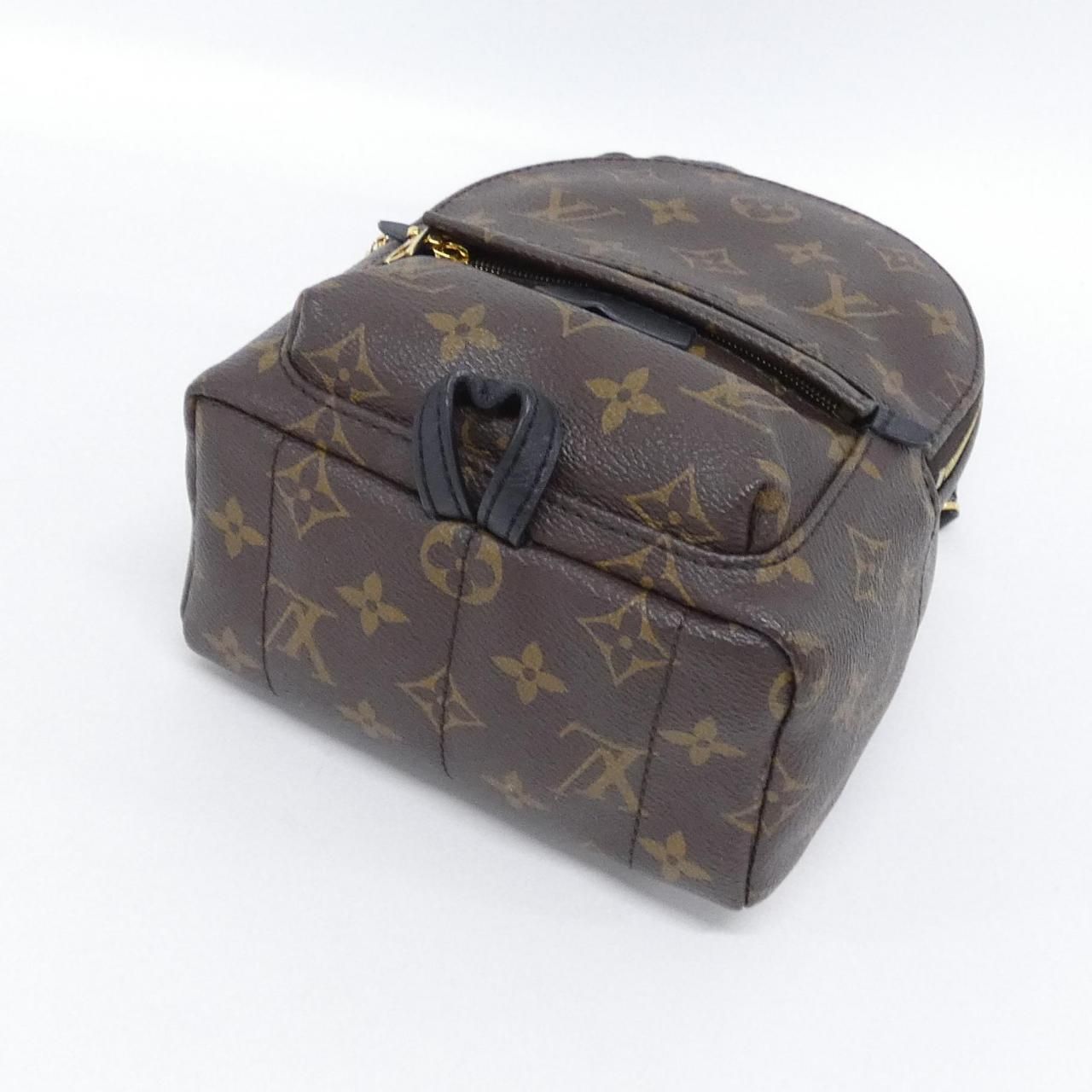 Louis Vuitton Monogram Palm Springs Backpack Mini — view 3