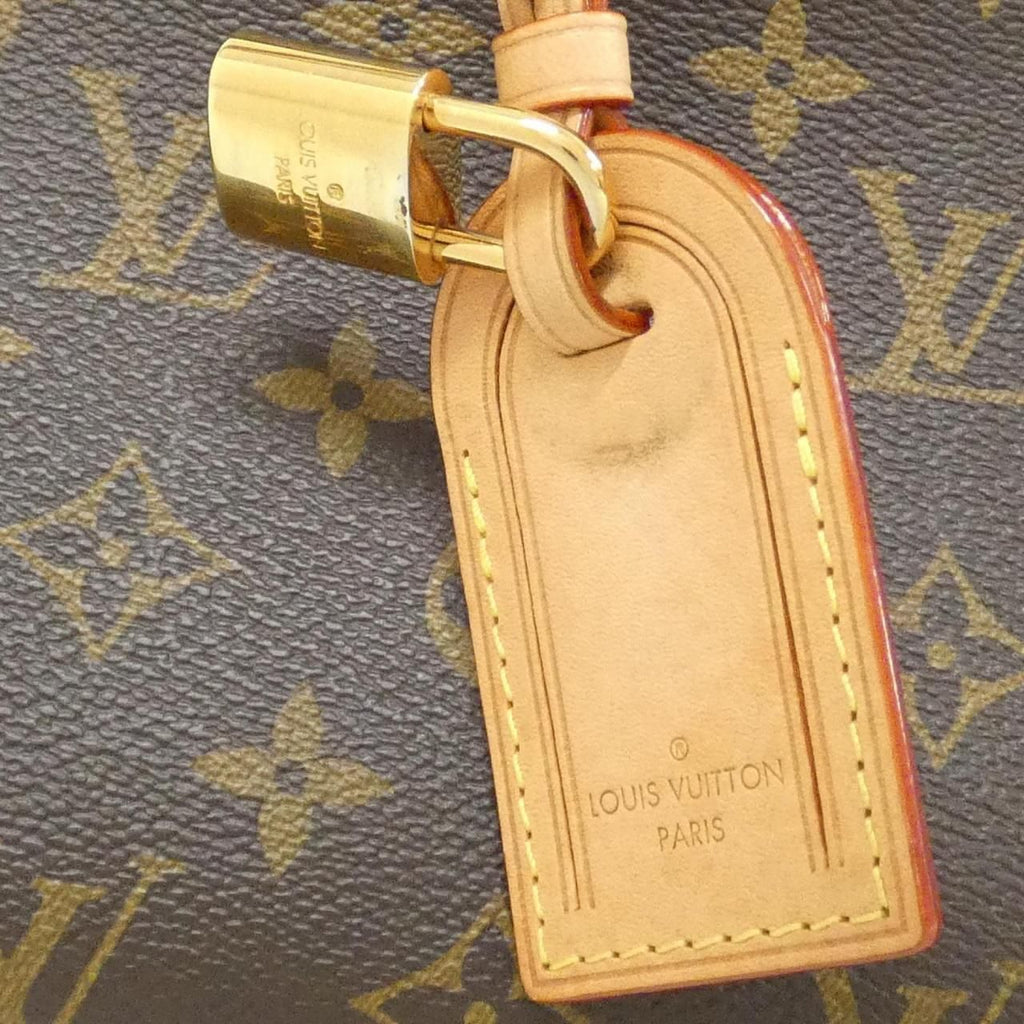 Louis Vuitton Monogram Petit Palais PM — view 4