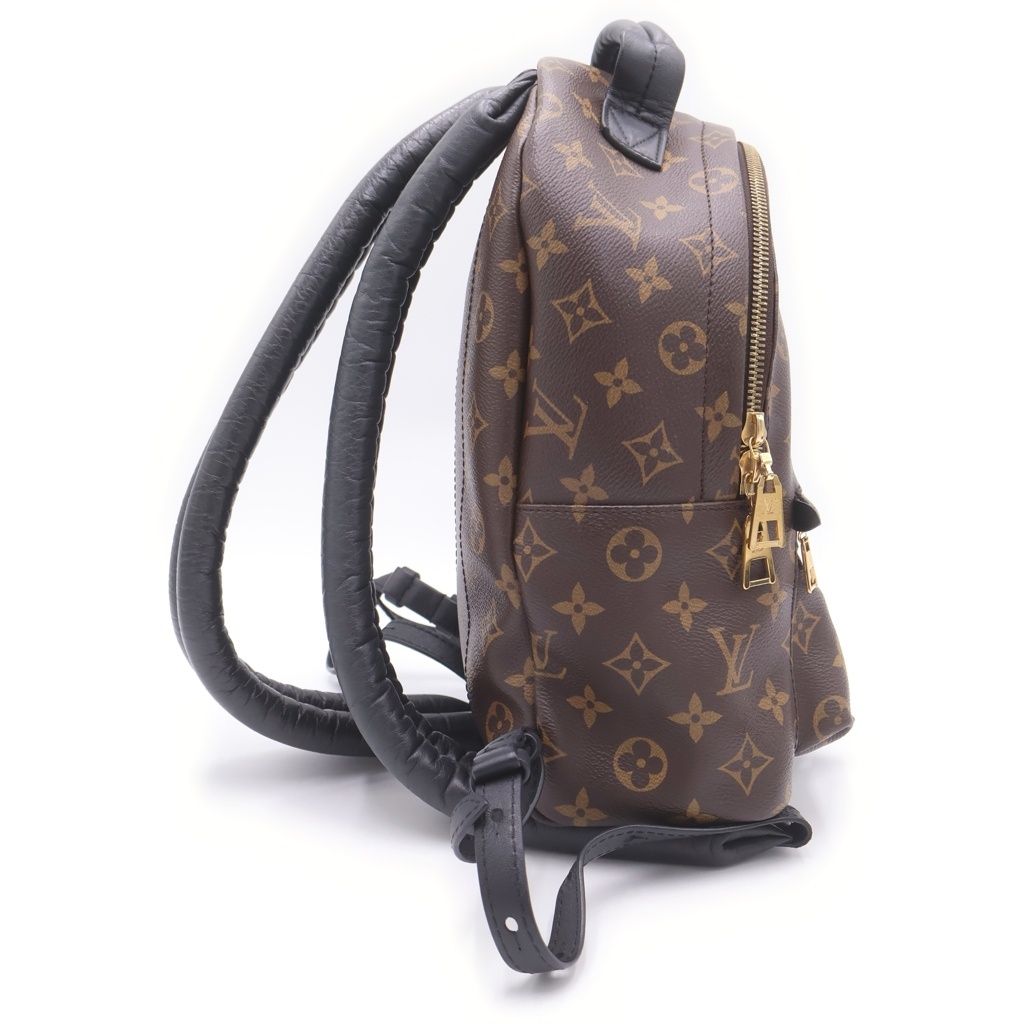 Louis Vuitton Palm Springs Backpack PM Brown Leather — view 3