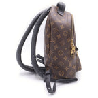Louis Vuitton Palm Springs Backpack PM Brown Leather — view 3