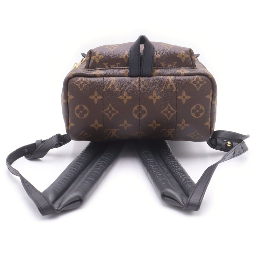 Louis Vuitton Palm Springs Backpack PM Brown Leather — view 4