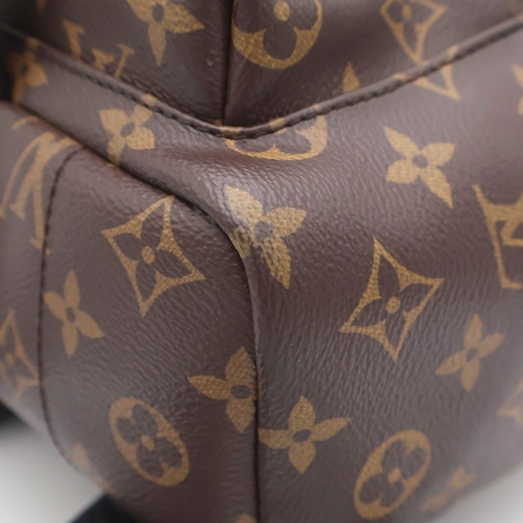 Louis Vuitton Palm Springs Backpack PM Brown Leather — view 5