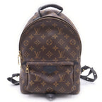 Louis Vuitton Palm Springs Backpack PM Brown Leather