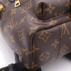 Louis Vuitton Palm Springs Backpack PM Brown Leather — view 6