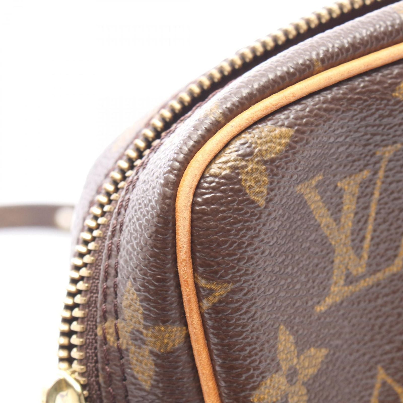 Louis Vuitton Shoulder Bag Danube Canvas Leather — view 8